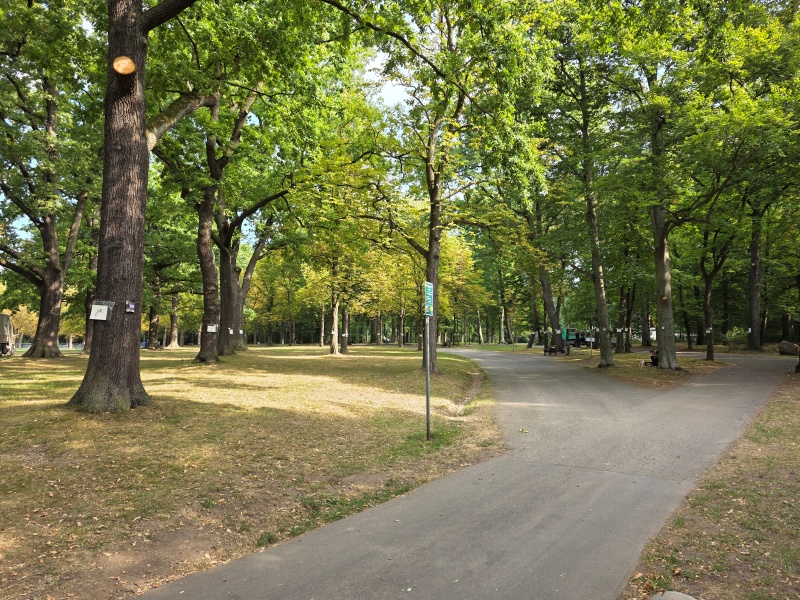 2025-08-21_malathon-chemnitz_39_malen_viele-baeume_20250821_094414, watercolour, 12 × 17 cm (Kirsten Kötter)