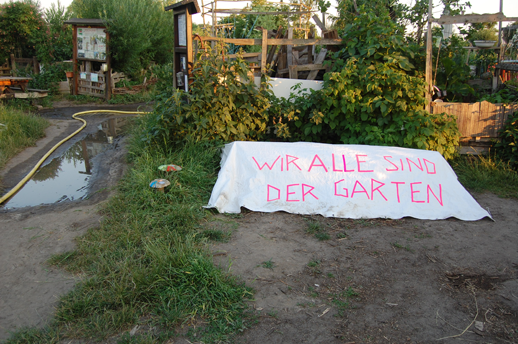 Pilze neben Kompost des Allmende-Garten (Heiß-Kompost) von Martina Kolarek, https://www.die-boden-schafft.de, Tempelhofer Feld, Neukölln, Berlin (Foto: Kirsten Kötter)