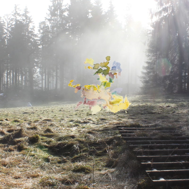 2021-12-18_kl-feldberg-lichtung_img0236_50-50, digital montage, 50 &times; 50 cm (Kirsten Kötter)