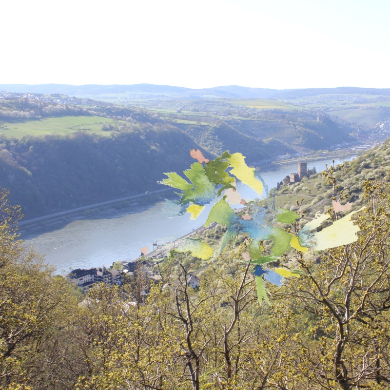 2022-04-17_rheinsteig-kaub_1149_50-50, digital montage (Kirsten Kötter)