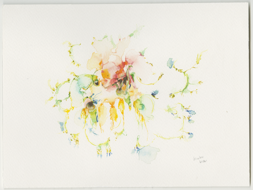 2003-06-10_koch-fruechte-rot-braun-gelb_158, watercolour, 30 × 40 cm (Kirsten Kötter)