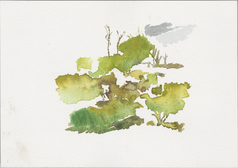 2017-06-26__kevo-nationalparc, watercolour, 12 × 17 cm (Kirsten Kötter)