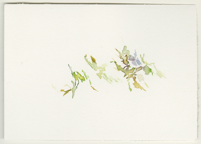 2022-08-30_erfurt_stotternheimer-see, Luthersee, watercolour, 12 × 17 cm (Kirsten Kötter)