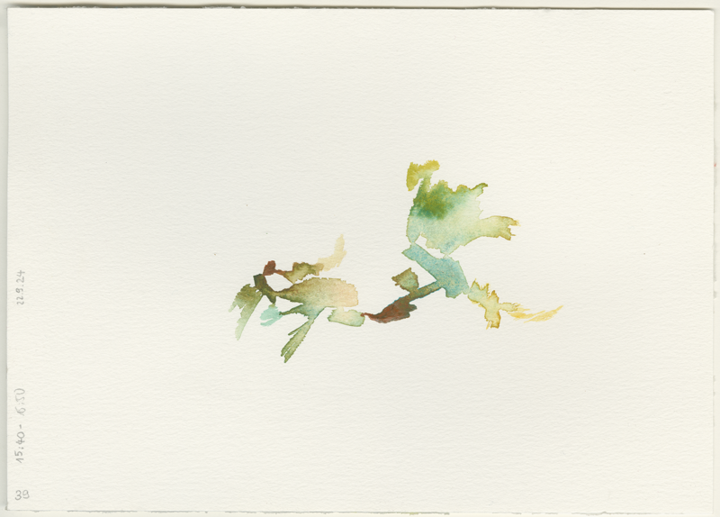 2024-09-22_malathon_39, watercolour, 17 × 24 cm (Kirsten Kötter)